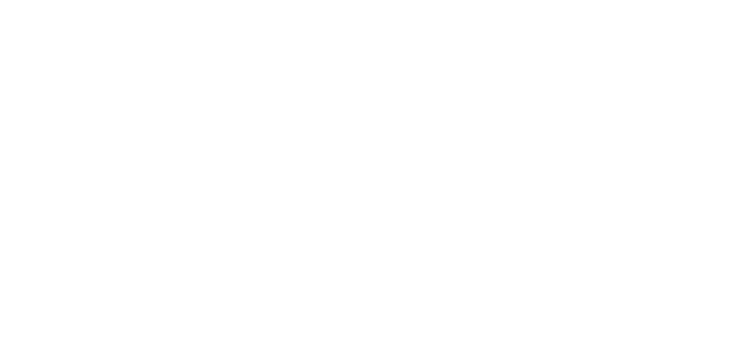 Live Plys Agency
